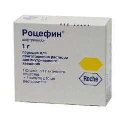 Rocephin, 1 g