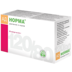 BP-norma capsules 300 mg, 60 pcs.