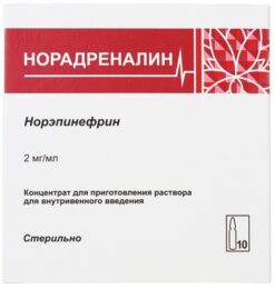 Norepinephrine Agetan, concentrate 2 mg/ml 8 ml 10 pcs
