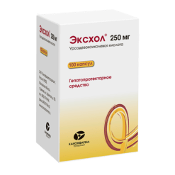 Exchol, 250 mg capsules 100 pcs
