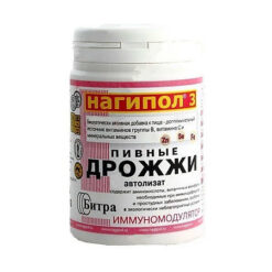Nagipol-3, tablets, 100 pcs.