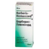 Berberis-Homaccord, drops, 30 ml