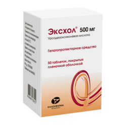 Exchol, 500 mg 50 pcs.