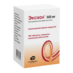 Exchol, 500 mg 100 pcs