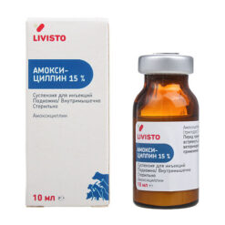Amoxicillin suspension 15% Livisto vial, 10 ml
