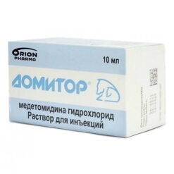 Domitor solution 0.1%, vial 10 ml