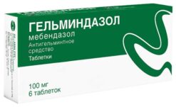 Helmindazole, tablets 100 mg 6 pcs