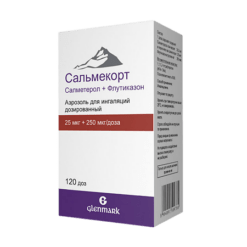 Salmecort, aerosol 25 mcg+250 mcg/dose 120 doses