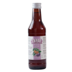Syrup of rowanberry and chokeberry fruits with vitamin C fl. 250 ml